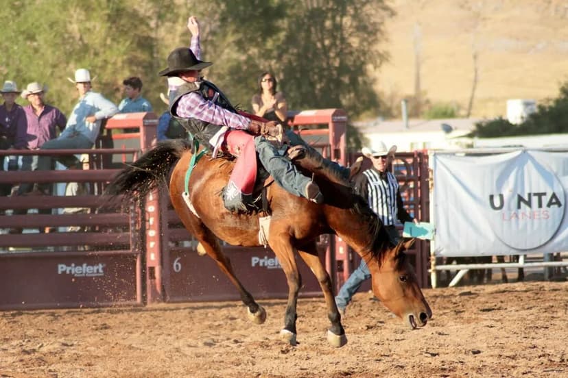 2024 Vegas Rodeo Extravaganza: Unmissable Events in One Place!